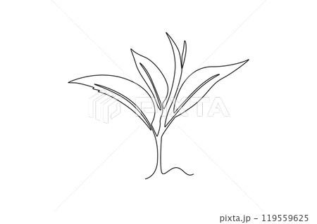 Single one line drawing of whole healthy organic tea leaf for herbal drink logo identity. Fresh nature concept for tea plantation icon. Modern continuous line draw design graphic vector illustration 119559625