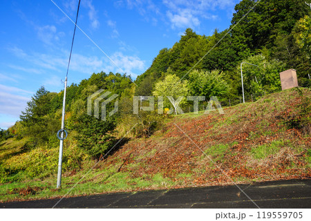 十勝川の河川敷（千代田堰堤付近）からあちらこちらを見て 119559705