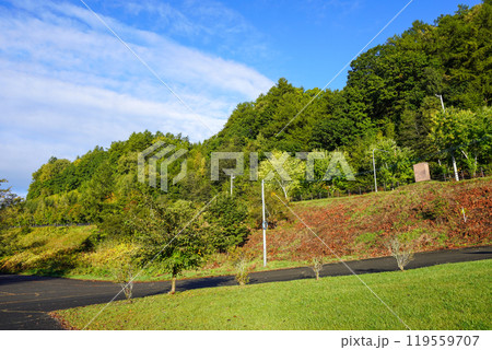 十勝川の河川敷（千代田堰堤付近）からあちらこちらを見て 119559707