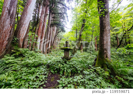 Togakushi Shrine near Nagano in Japan 119559871