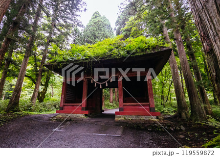 Togakushi Shrine near Nagano in Japan 119559872