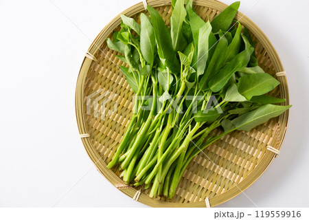 ざるに乗せた空芯菜 119559916