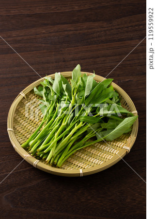 ざるに乗せた空芯菜 ざるに乗せた空芯菜 119559922
