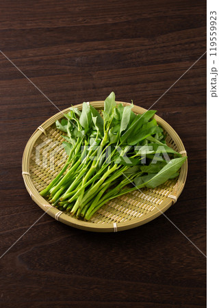 ざるに乗せた空芯菜 119559923