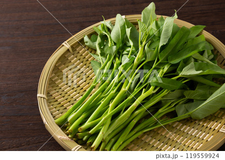 ざるに乗せた空芯菜 119559924