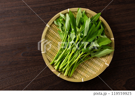 ざるに乗せた空芯菜 119559925