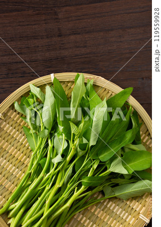 ざるに乗せた空芯菜 ざるに乗せた空芯菜 119559928