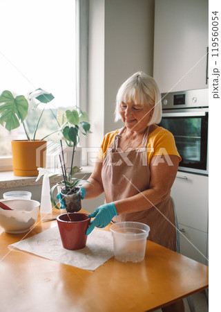 Gardening home. Woman farmer preparing to replant orchid plants by use a shovel to scoop the soil into the pot. Indoor gardening hobbies and jobs indoor plants at home. Gardening home. Woman farmer preparing to replant orchid plants by use a shovel to scoop the soil into the pot. Indoor gardening hobbies and jobs indoor plants at home. 119560054