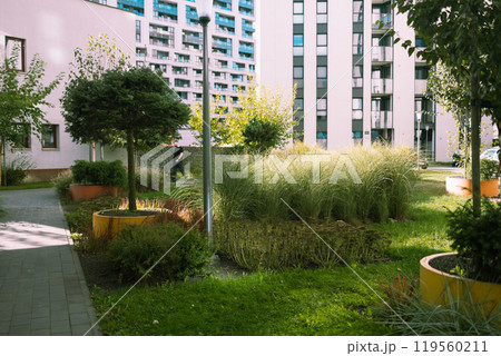 Residential area with ecological and sustainable green residential buildings, low-energy houses with apartments and green courtyard 119560211