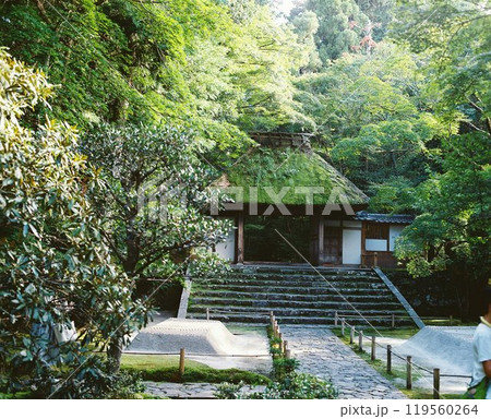 新緑に包まれた法然院の境内 新緑に包まれた法然院の境内 119560264