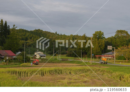 山里の実りの秋・日本の田園風景 山里の実りの秋・日本の田園風景 119560633