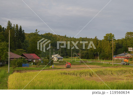 山里の実りの秋・日本の田園風景 119560634