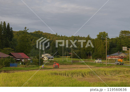 山里の実りの秋・日本の田園風景 山里の実りの秋・日本の田園風景 119560636