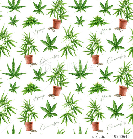 Cannabis sativa and indica herb leaves, flowers, growing stem seamless pattern on white background. Hemp medicinal plant watercolor illustration. Cannabis healthy plant seamless pattern design 119560640