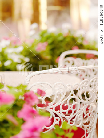 Beautiful street flowers near the cafe. Soft focus.        119560649