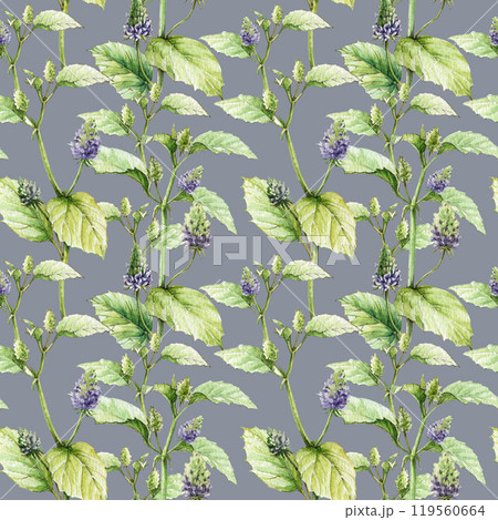 Psoralea herb stem, leaves, flowers seamless pattern. Watercolor vintage style illustration. Organic plant with bakuchiol heathy natural retinol. Psoralea corylifolia medicinal herb seamless pattern Psoralea herb stem, leaves, flowers seamless pattern. Watercolor vintage style illustration. Organic plant with bakuchiol heathy natural retinol. Psoralea corylifolia medicinal herb seamless pattern 119560664