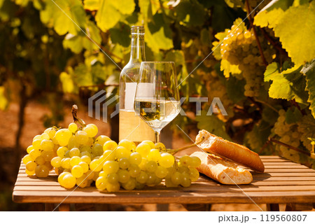 Glass of White wine ripe grapes and bread on table in vineyard Glass of White wine ripe grapes and bread on table in vineyard 119560807