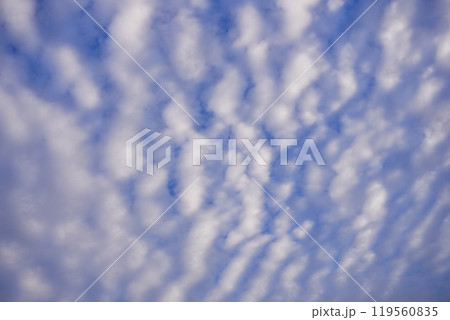 うろこ雲が広がる空 うろこ雲が広がる空 119560835