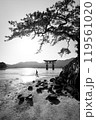 Floating Torii gate of Itsukushima Shrine at Miyajima, Hiroshima - BW 119561020
