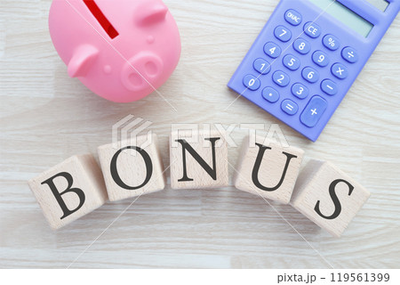 BONUS 豚の貯金箱 119561399