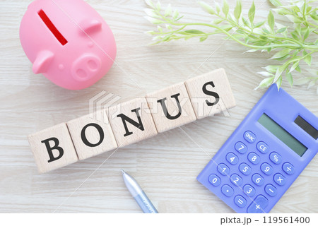 BONUS 豚の貯金箱 BONUS 豚の貯金箱 119561400