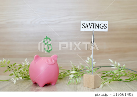 貯金のイメージ 貯金のイメージ 119561408