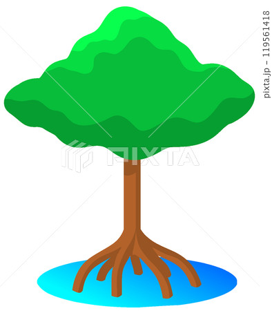 マングローブ 119561418