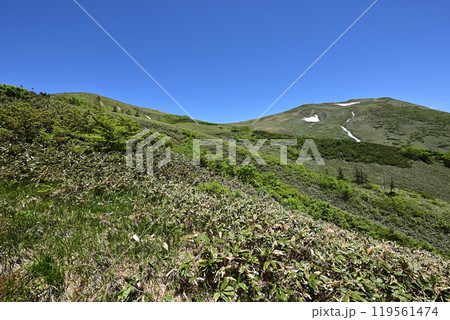 平標山、仙ノ倉山登山、群馬県 119561474