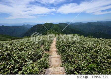 平標山、仙ノ倉山登山、群馬県 平標山、仙ノ倉山登山、群馬県 119561479