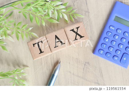 TAX 税金のイメージ TAX 税金のイメージ 119561554