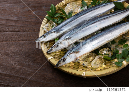サンマ サンマ 119561571