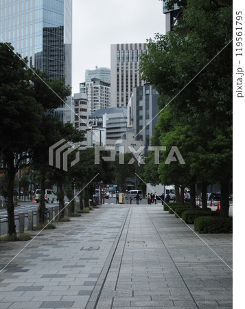 並木道の歩道、溜池山王 並木道の歩道、溜池山王 119561795