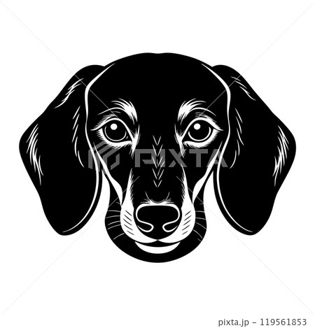 dachshund dog head icon. Black and white logo, dog silhouette, engraving style. 119561853