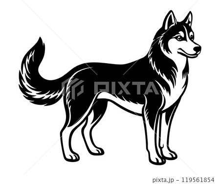 husky dog icon. Black and white logo, dog silhouette, engraving style. 119561854