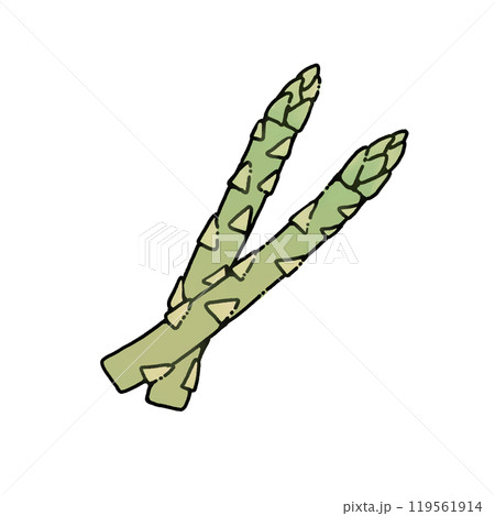 シンプルなアスパラガスのイラスト 119561914