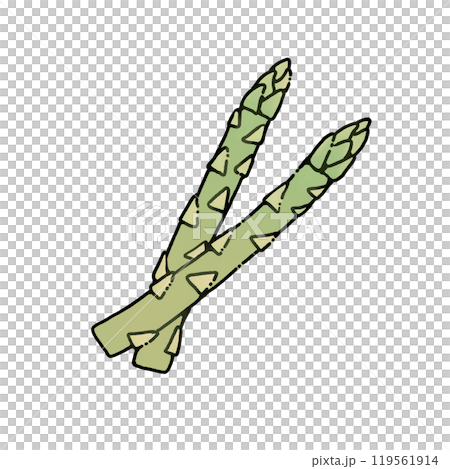 シンプルなアスパラガスのイラスト 119561914