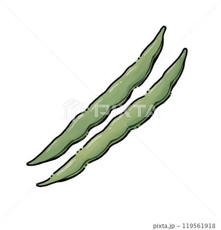 インゲン インゲン 119561918