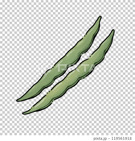 インゲン インゲン 119561918