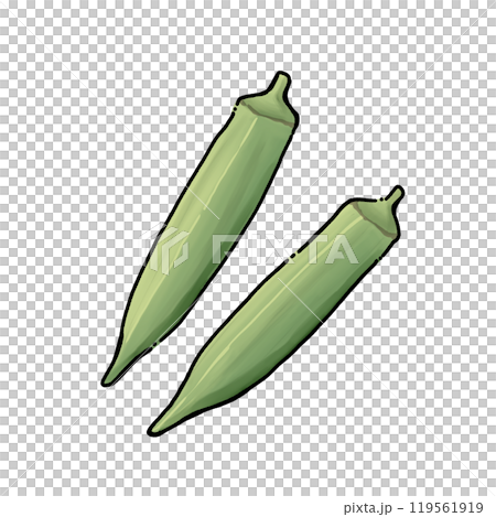 Simple okra illustration Simple okra illustration 119561919