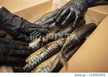 Smoked mackerel in a paper box. Fishing industry. Smoked mackerel in a paper box. Fishing industry. 119562005