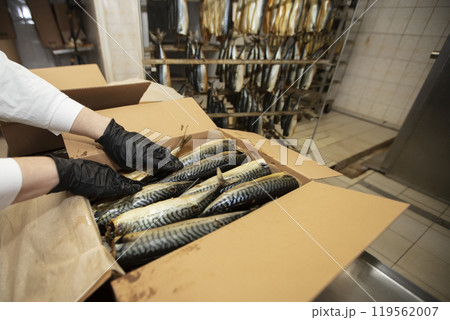 Smoked mackerel in a paper box. Fishing industry. 119562007