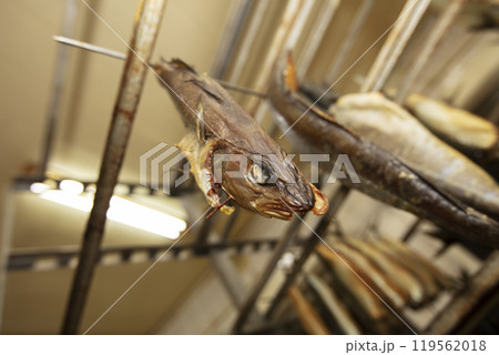 The smoked fish hangs with its head on an iron rasp. The smoked fish hangs with its head on an iron rasp. 119562018