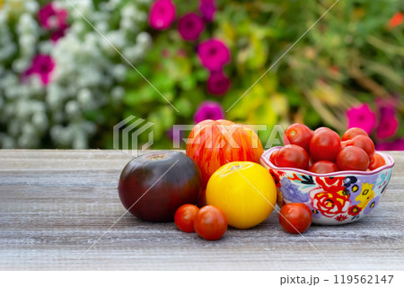 Variety of tomatoes, big and small, on the wooden table in the garden. Variety of tomatoes, big and small, on the wooden table in the garden. 119562147