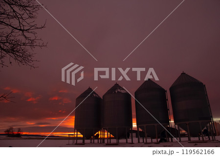 Grain bin silhouettes in the purple and orange winter sunset. 119562166