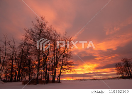 Colorful orange and purple sunset in canadian prairies in winter. 119562169