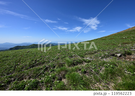 平標山、仙ノ倉山登山、群馬県 119562223