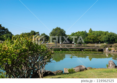 朝の大仙公園 119562525