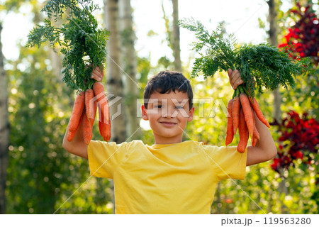 A smiling boy in yellow t-shirt is holding two bunches of large orange carrots with leaves in the autumn garden near green and red trees. A smiling boy in yellow t-shirt is holding two bunches of large orange carrots with leaves in the autumn garden near green and red trees. 119563280