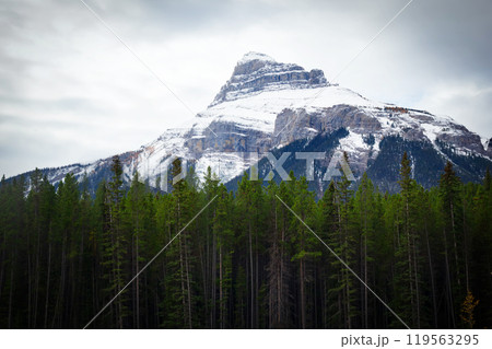 High mountain with sow on top among deep spruce forests in a cloudy autumn day. 119563295