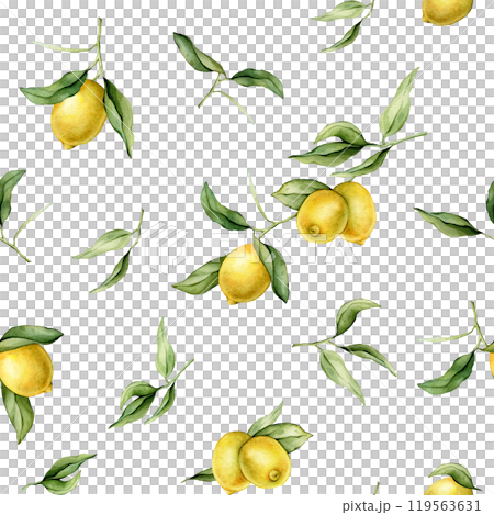 Seamless pattern with watercolor illustration of Lemon or Lime. Hand painted lemon branche with green leaves on white isolated background for juice label or icon. 119563631